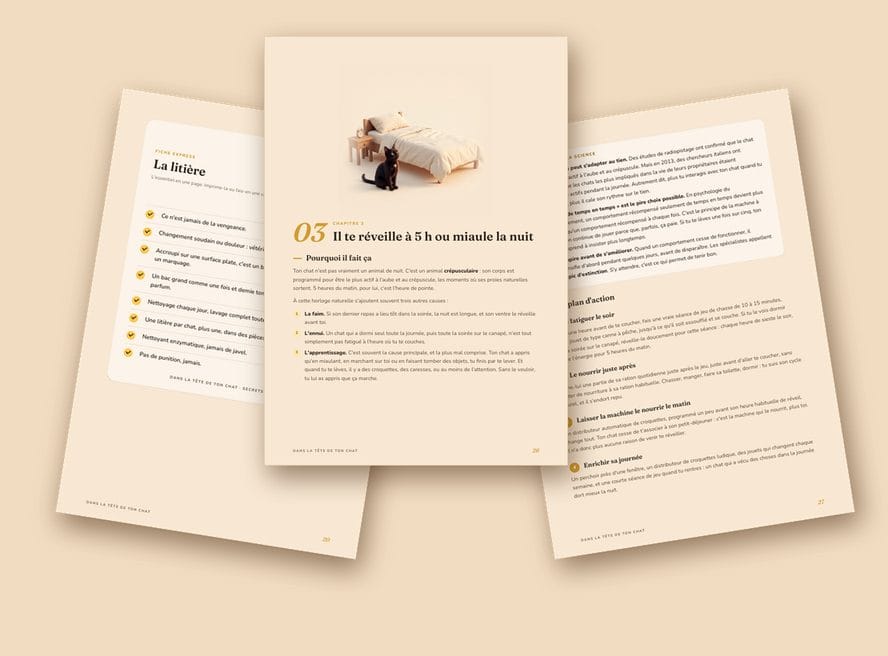 Aperçu des pages du guide