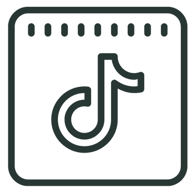 Tiktok icon
