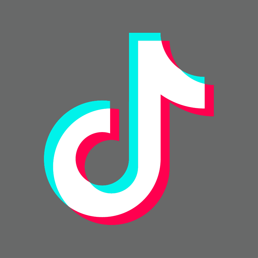 Shinedelight Enterprises TikTok Business Page