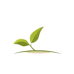 a single curved leaf resting over a soft open circle