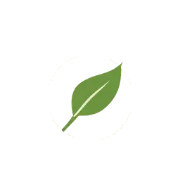 a single curved leaf resting over a soft open circle
