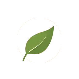 a single curved leaf resting over a soft open circle