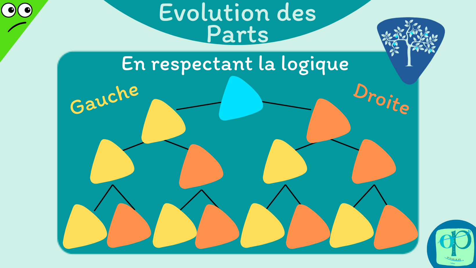 OP Evolution des parts P6