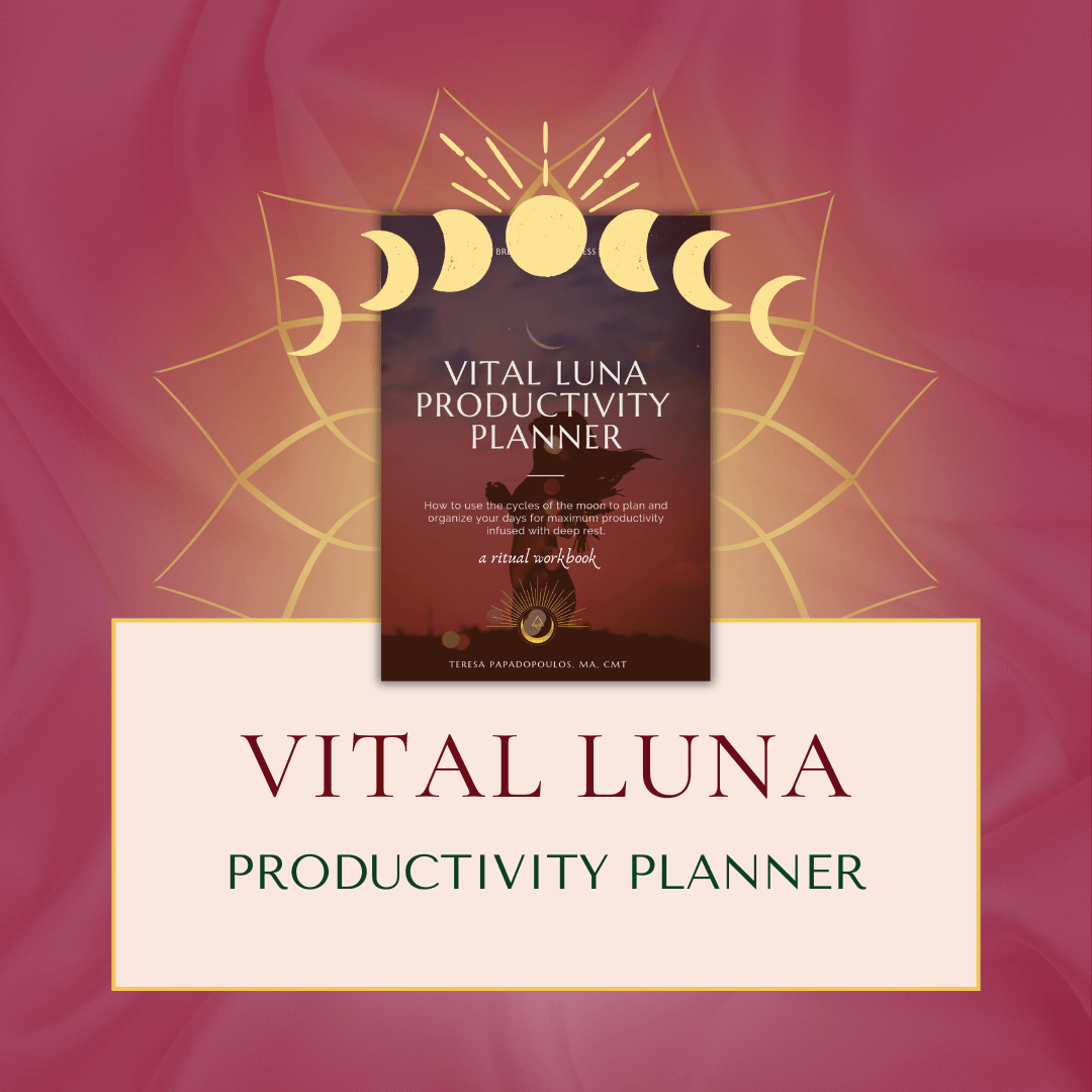 Vital Luna Productivity Planner Bundle