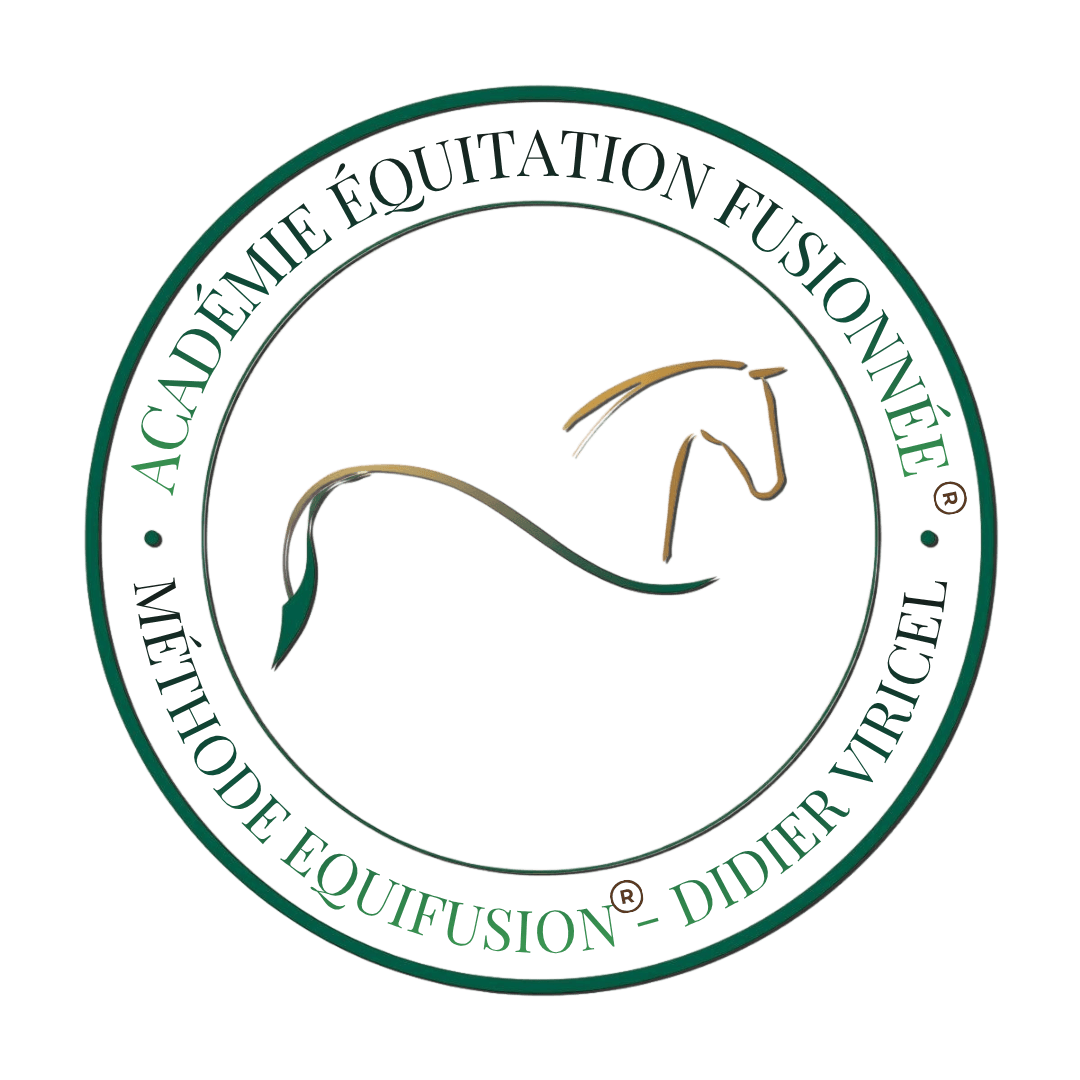 Académie Équitation Fusionnée formation cavaliers