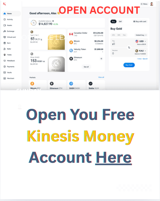 MyKinesis.Money