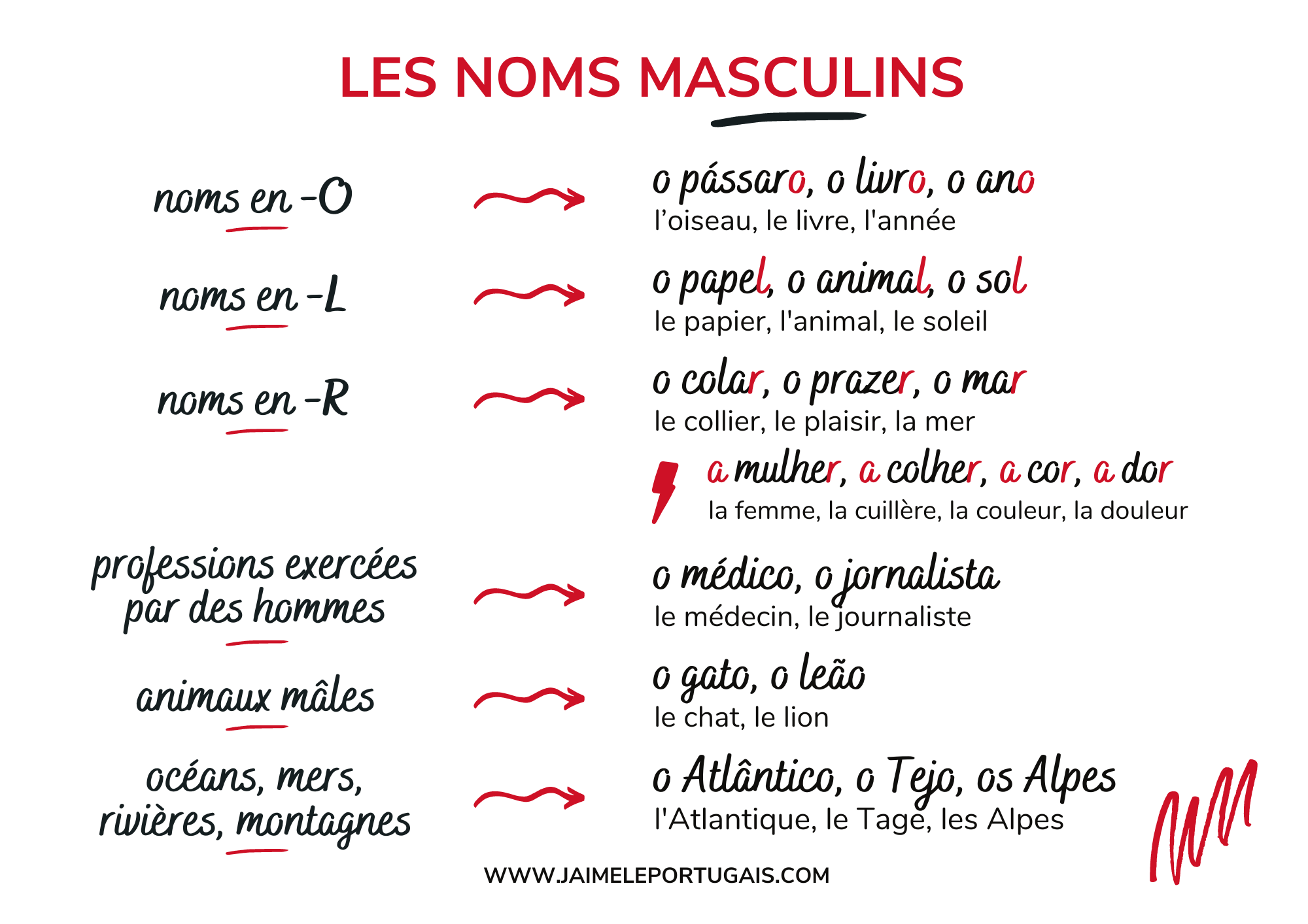 Tableau de synthèse : masculin et féminin des noms et adjectifs en portugais