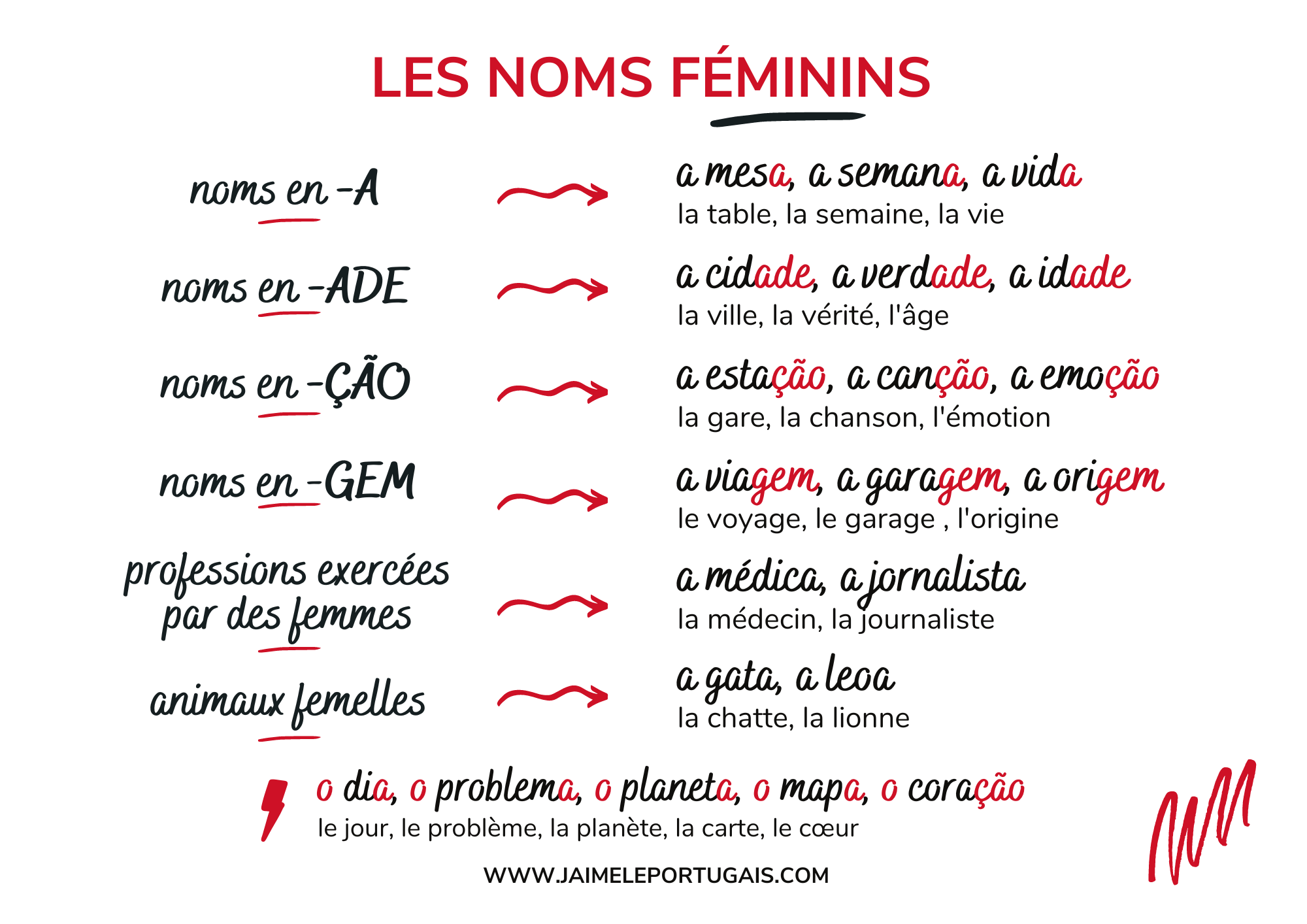 Tableau de synthèse : masculin et féminin des noms et adjectifs en portugais