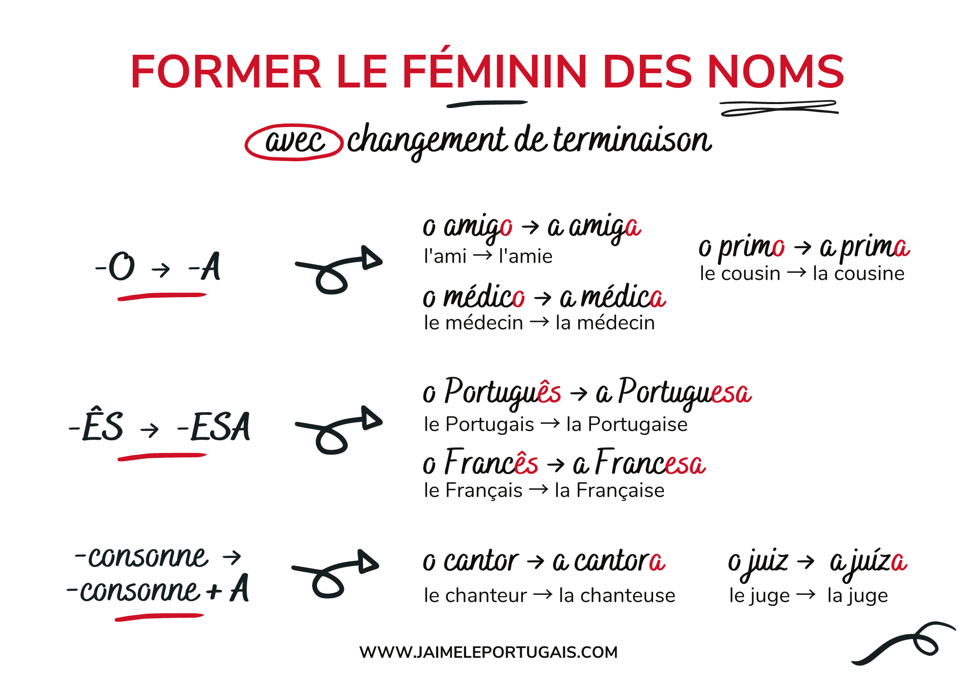 Tableau de synthèse : masculin et féminin des noms et adjectifs en portugais
