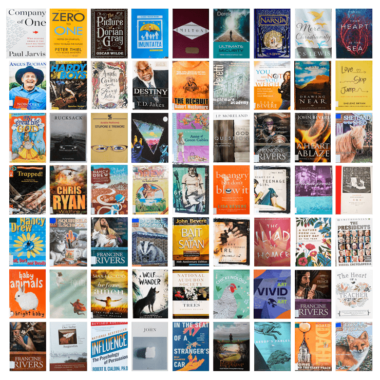 The biggest 250 000+ Ebooks bundle