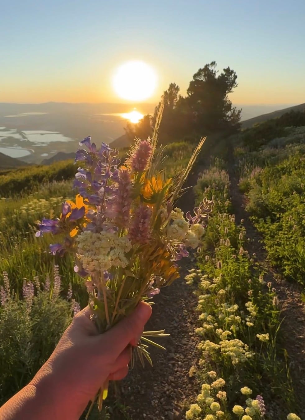 hand with picked wildflowers from a field on the side of a mountain watching the sunset, making life an occasion.