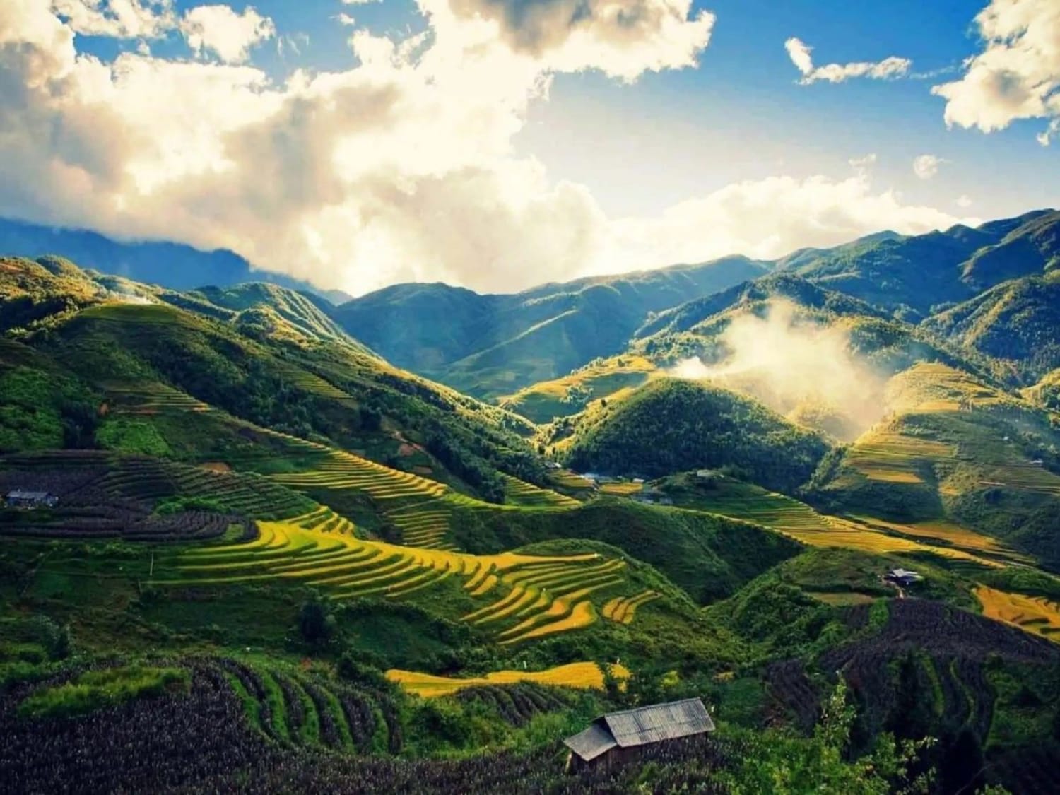 REISTERRASSEN · SAPA