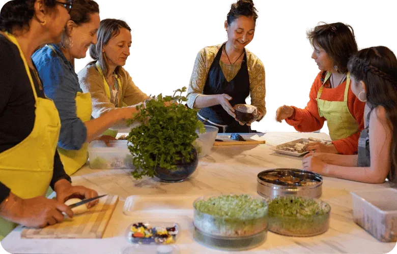 Formation présentielle en cévennes