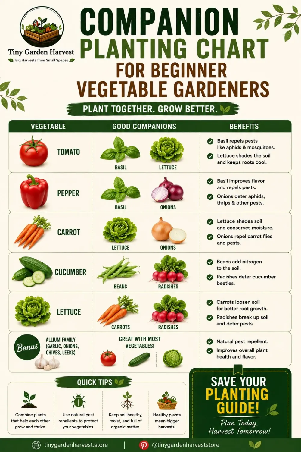 Companion planting chart showing vegetables and good companion plants for beginners