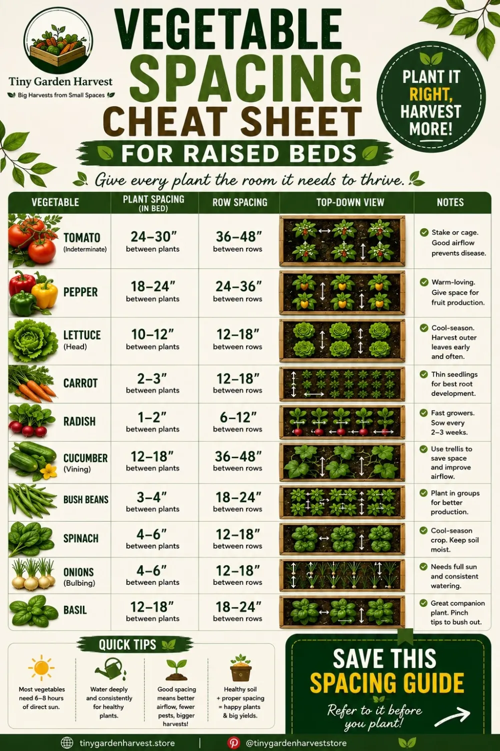 Vegetable plant spacing guide showing recommended spacing and row spacing for raised bed crops