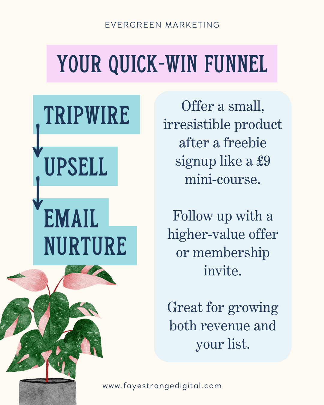Infographic showing an evergreen funnel: Tripwire → Upsell → Email Nurture. Details how to offer a low-cost product after a freebie signup, follow up with a higher-value offer, and continue building trust through automated emails. Simple design with soft colours and plant illustration.