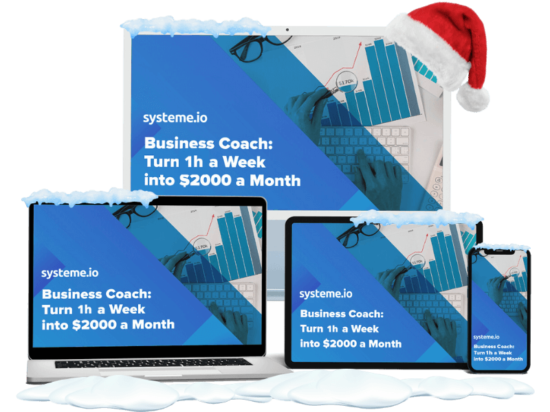 Business Coach: Turn 1h of work a week into $2,000 a month course cover