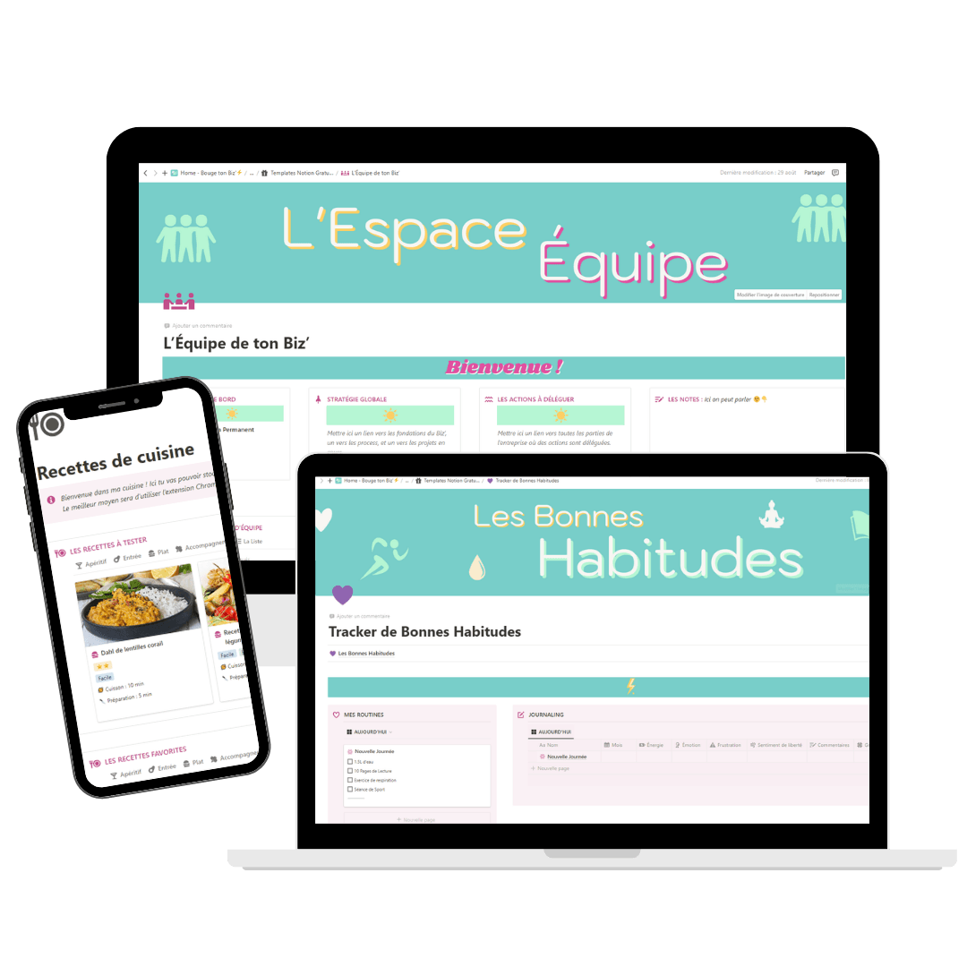 Aperçu des 5 templates Notion