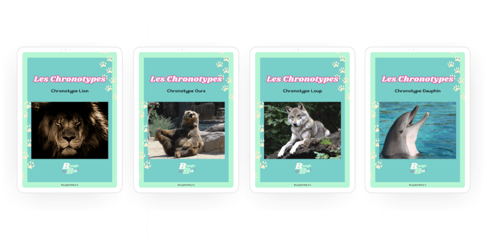 Aperçu du Quiz Chronotype