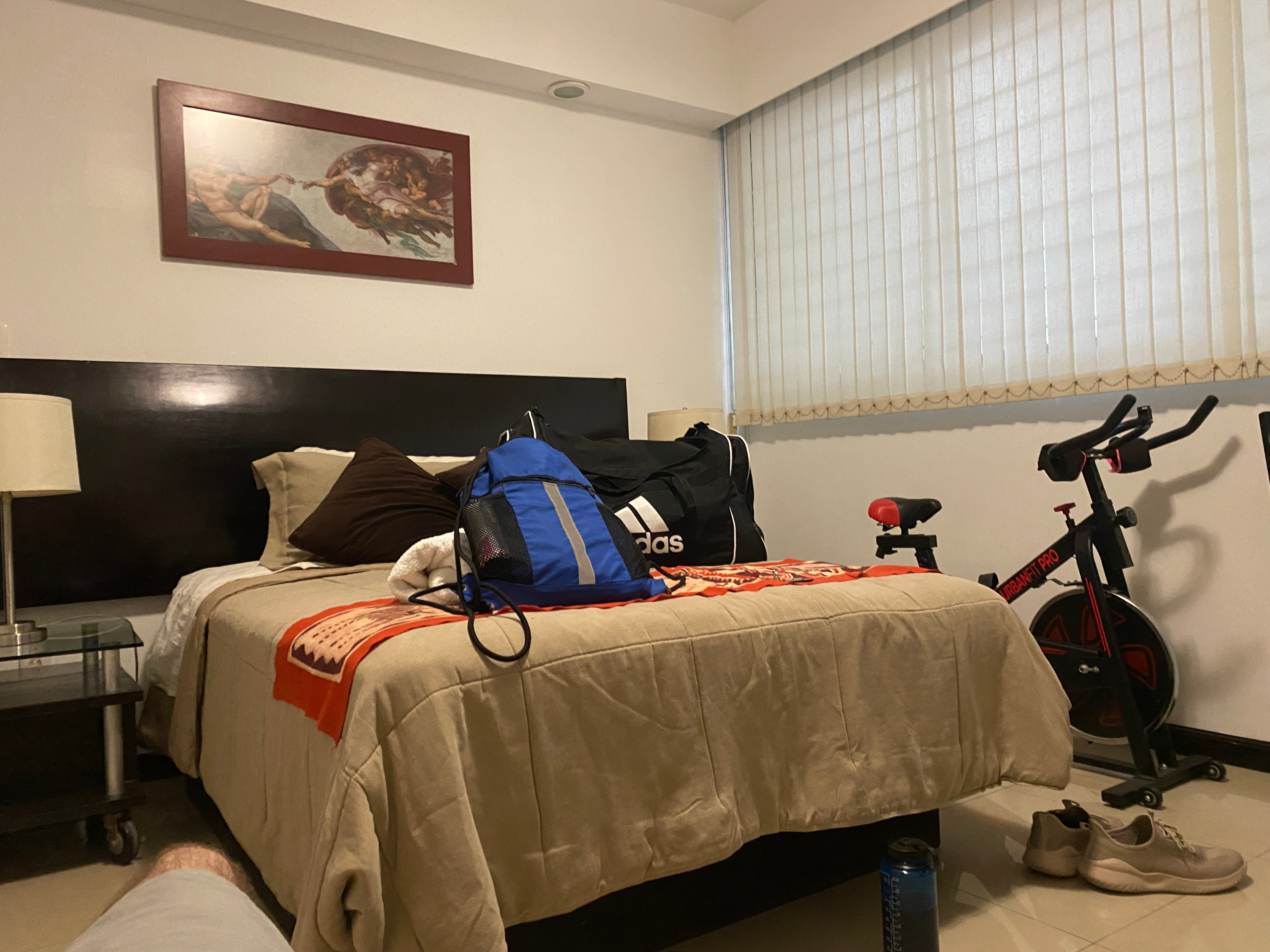 Dr. Boaz Goss settles down in Mexico City | Orthodox Snake Travelogue