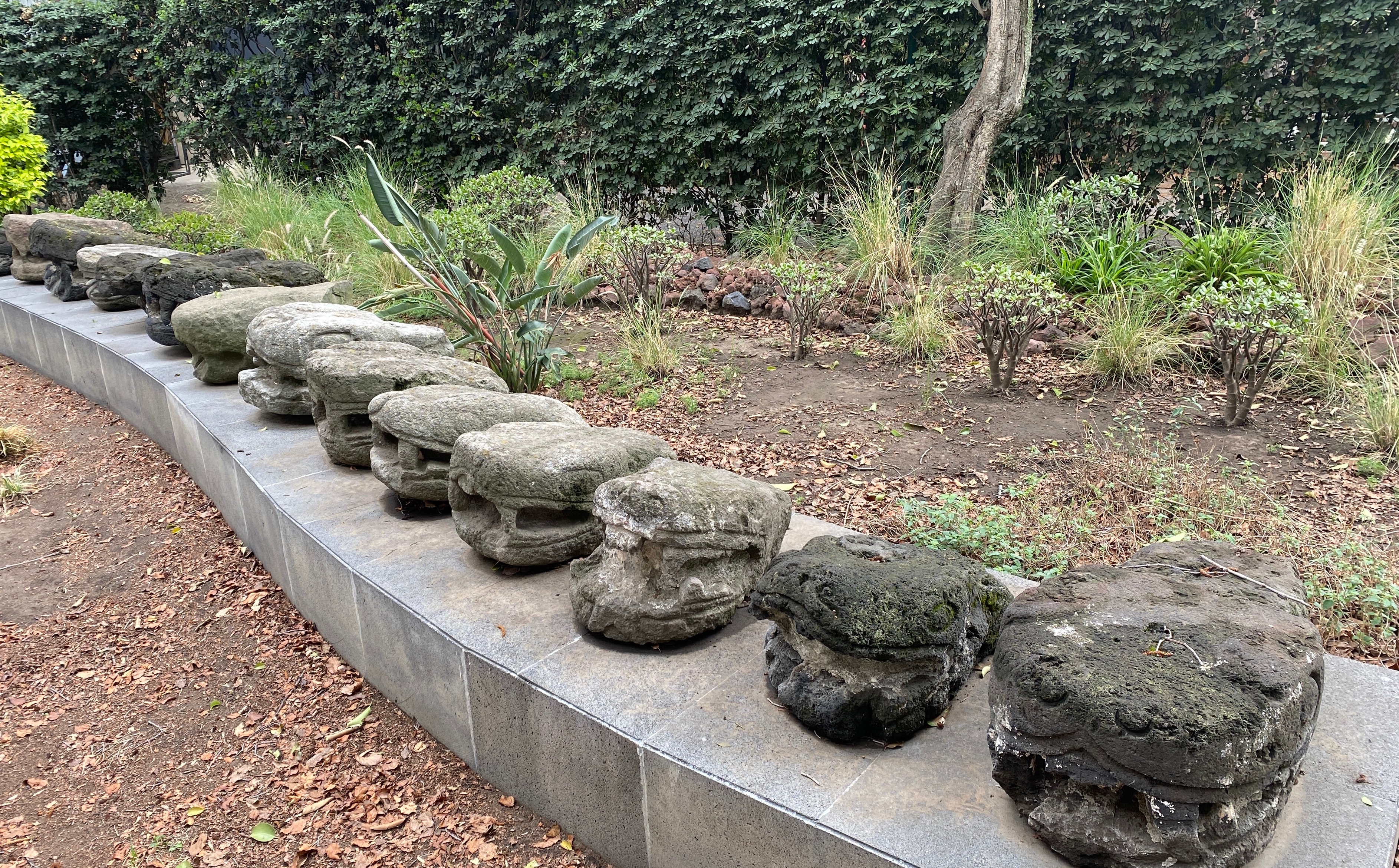 A whole row of ancient Mexican snake statues | The Orthodox Snake Writing Agency