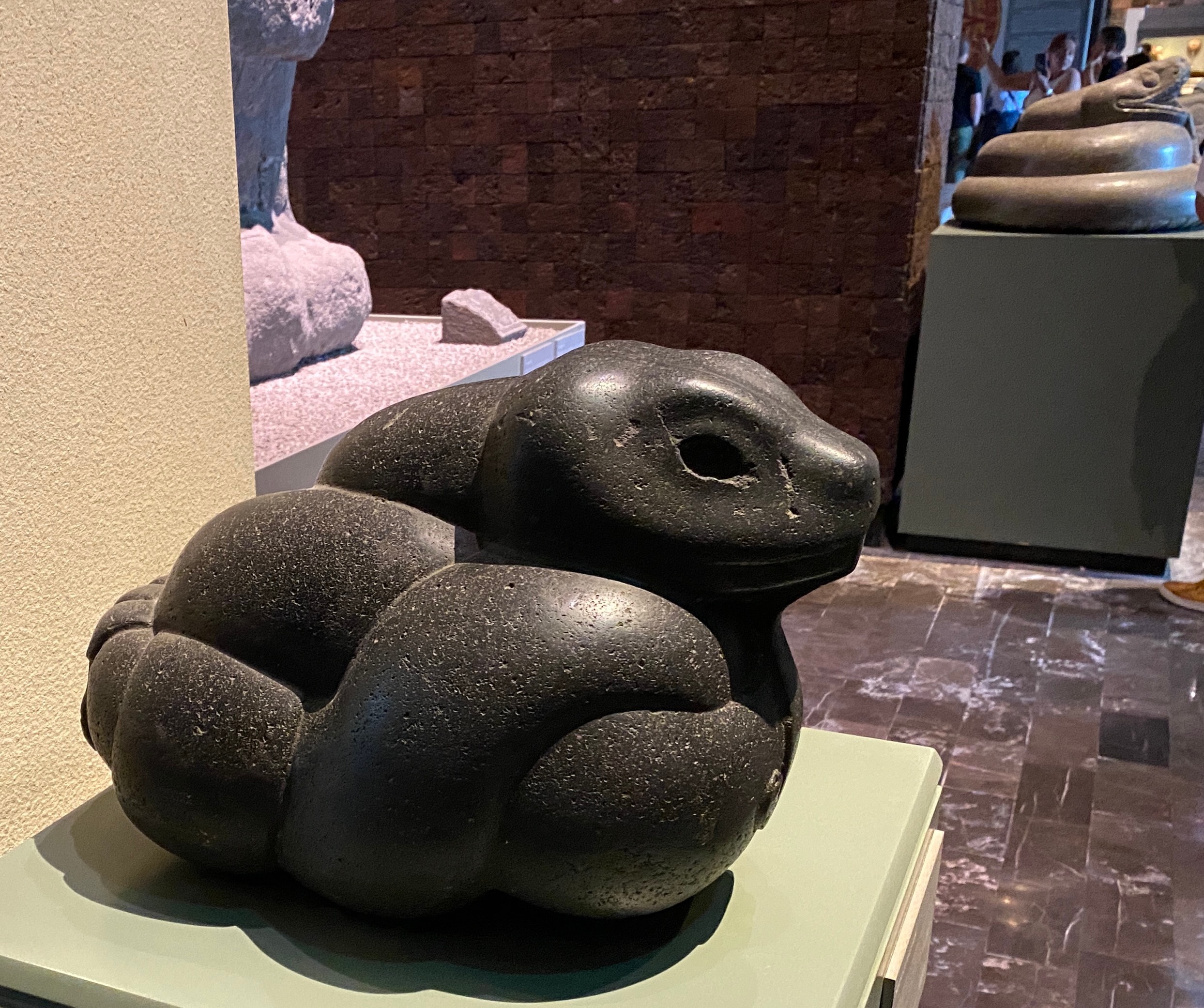 Big smooth snake from Mexico | The Orthodox Snake Writing Agency