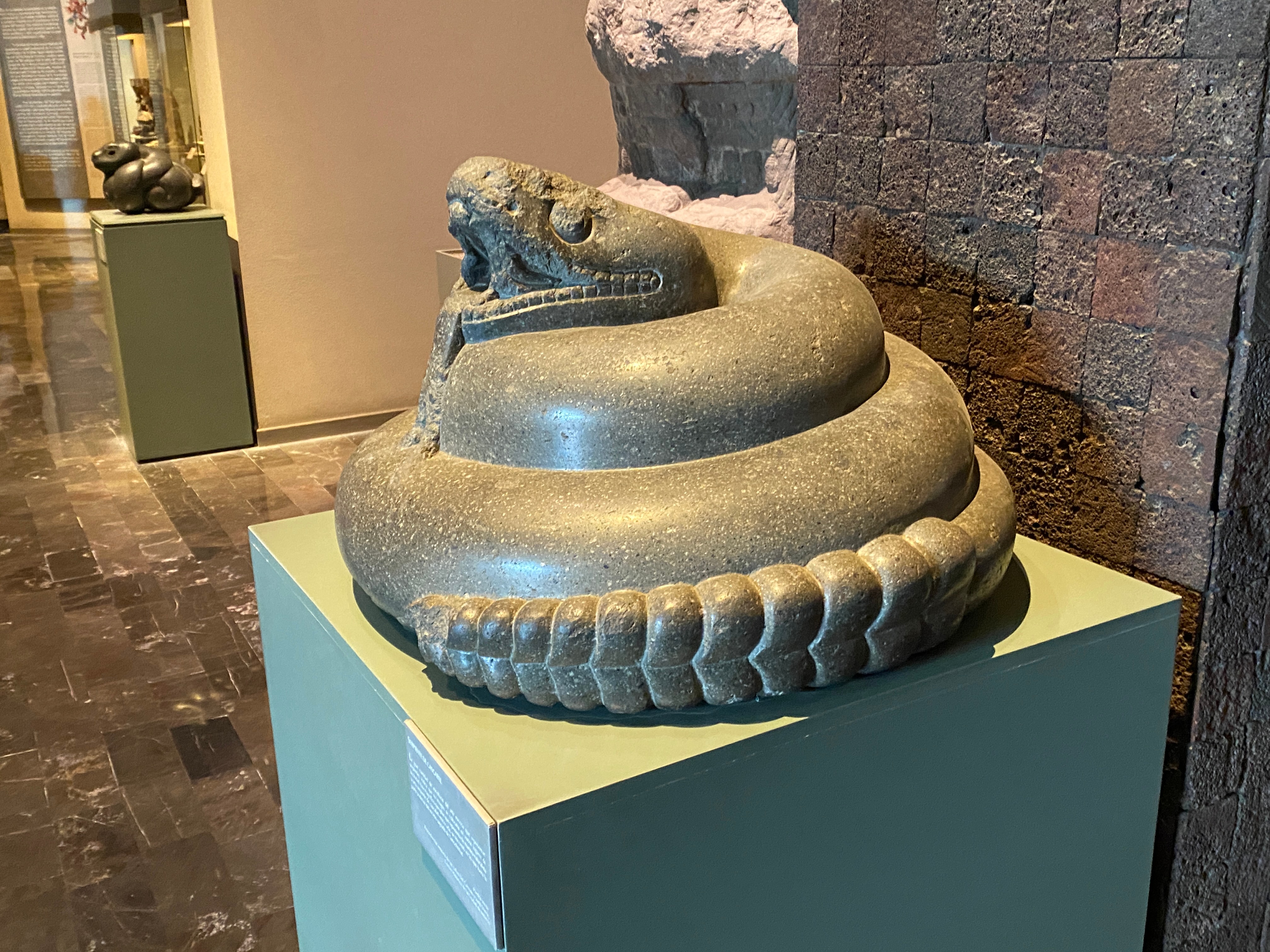 Big Mexican snake curled up like a big ice cream cone | The Orthodox Snake Writing Agency