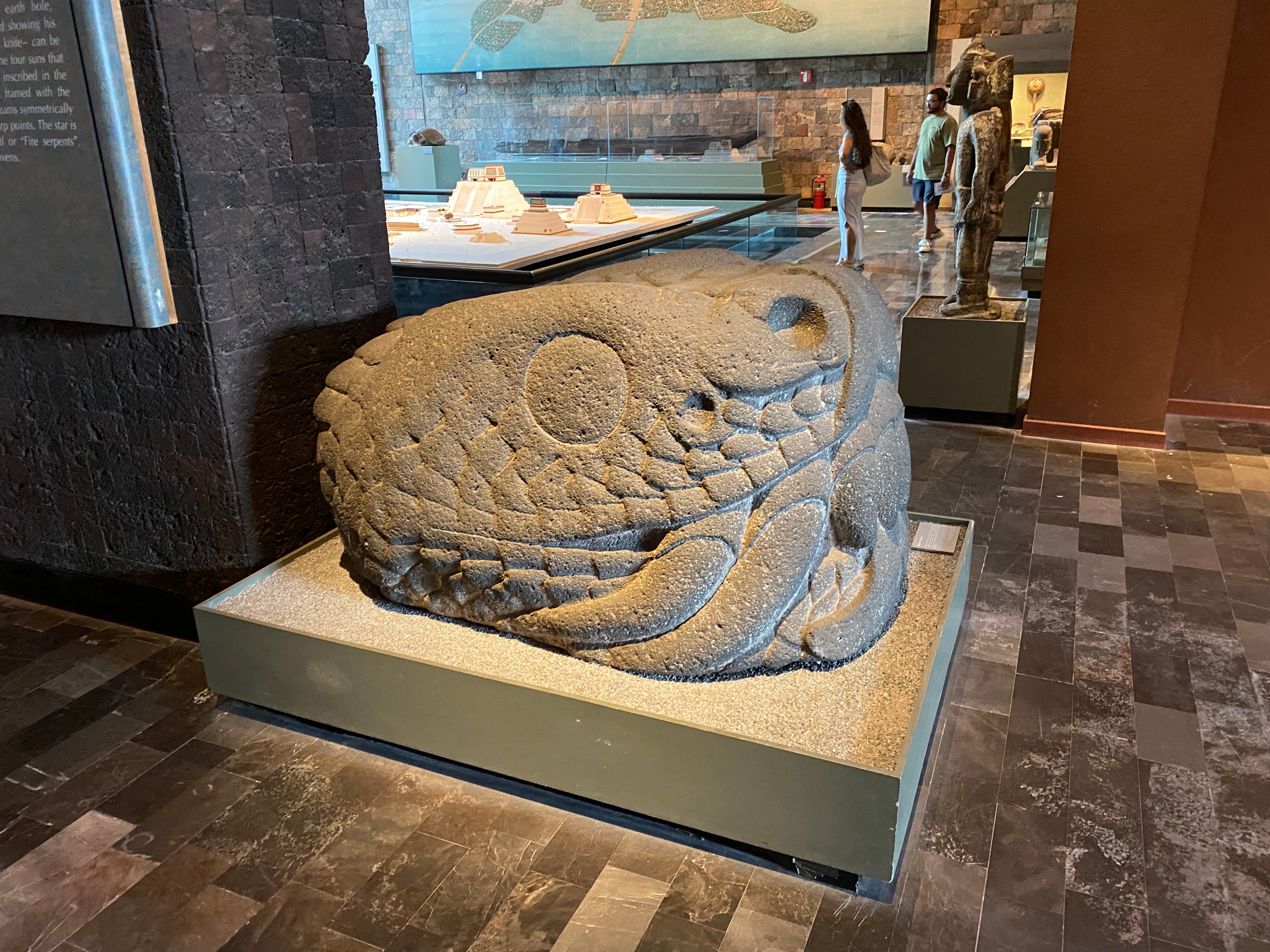 The biggest Mexican snake of all, perhaps | The Orthodox Snake Writing Agency