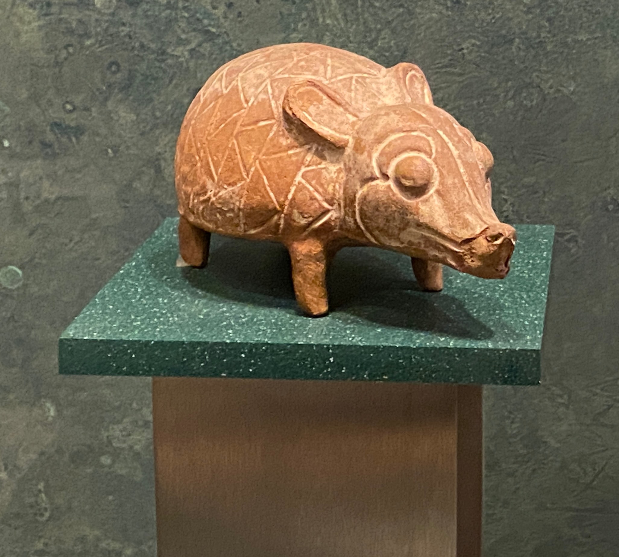 Dr. Boaz Goss finds the opossum | The Orthodox Snake Writing Agency