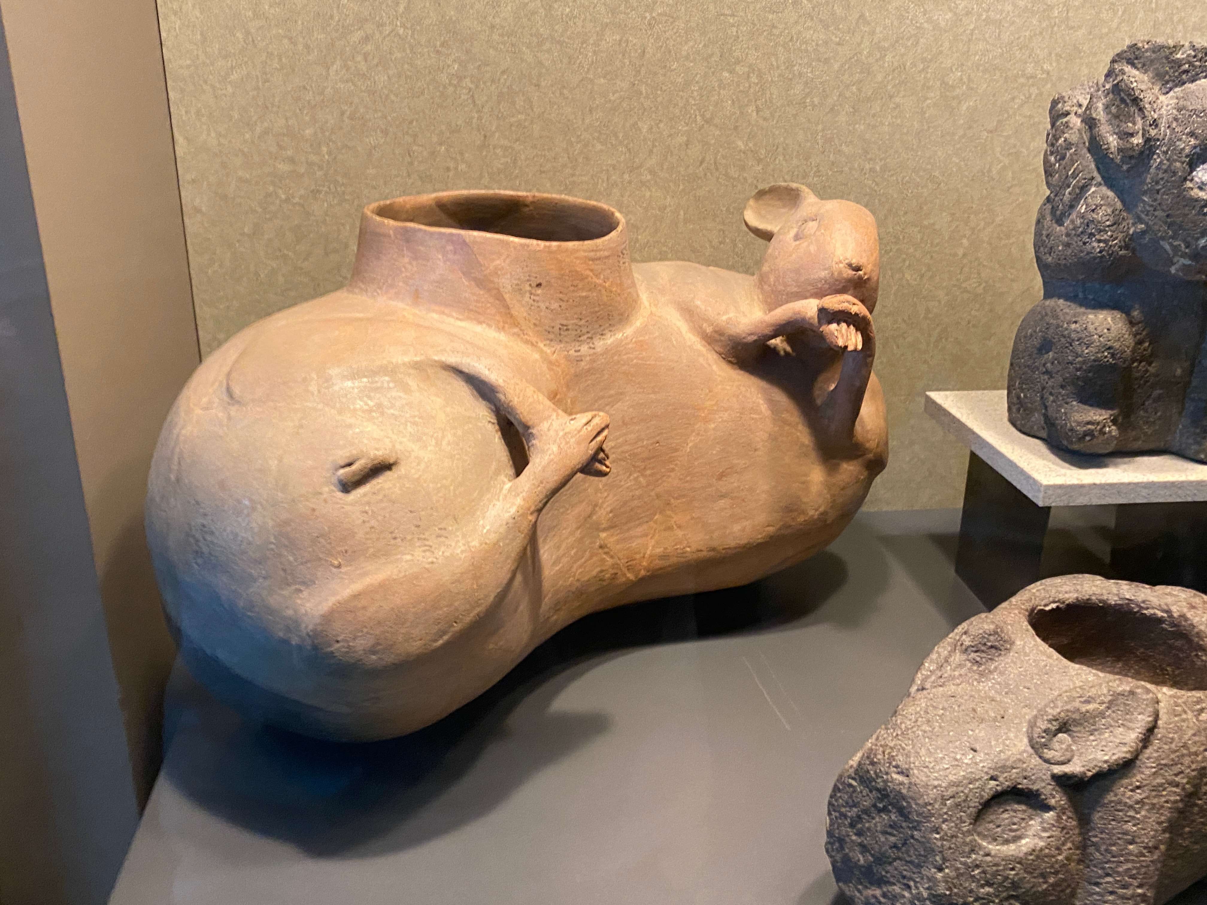 Dr. Boaz Goss meets drunk rabbit | The Orthodox Snake Writing Agency