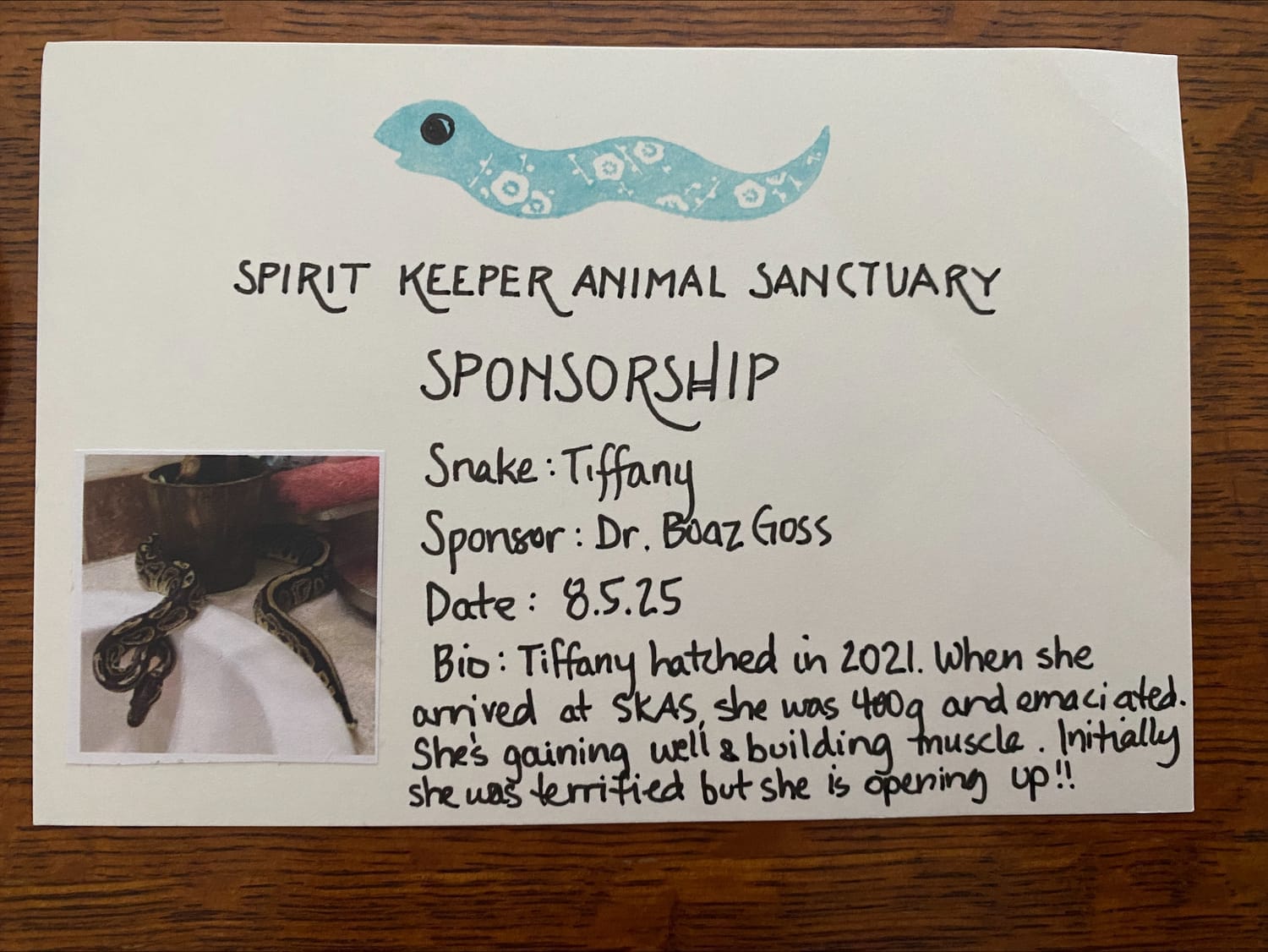 Bio card that came with the Tiffany care package from Spirit Keeper Animal Sanctuary | The Orthodox Snake Writing Agency