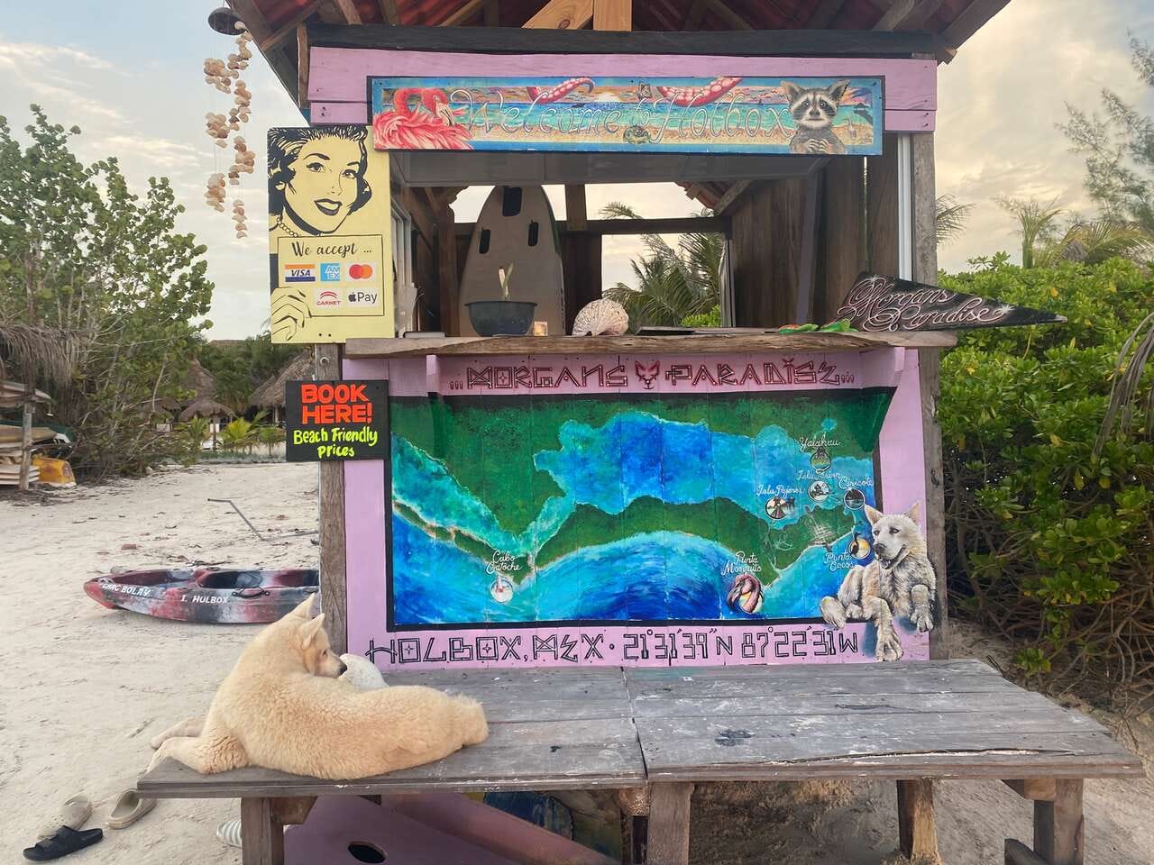 Dr. Boaz Goss and the beach business dog | The Orthodox Snake Writing Agency