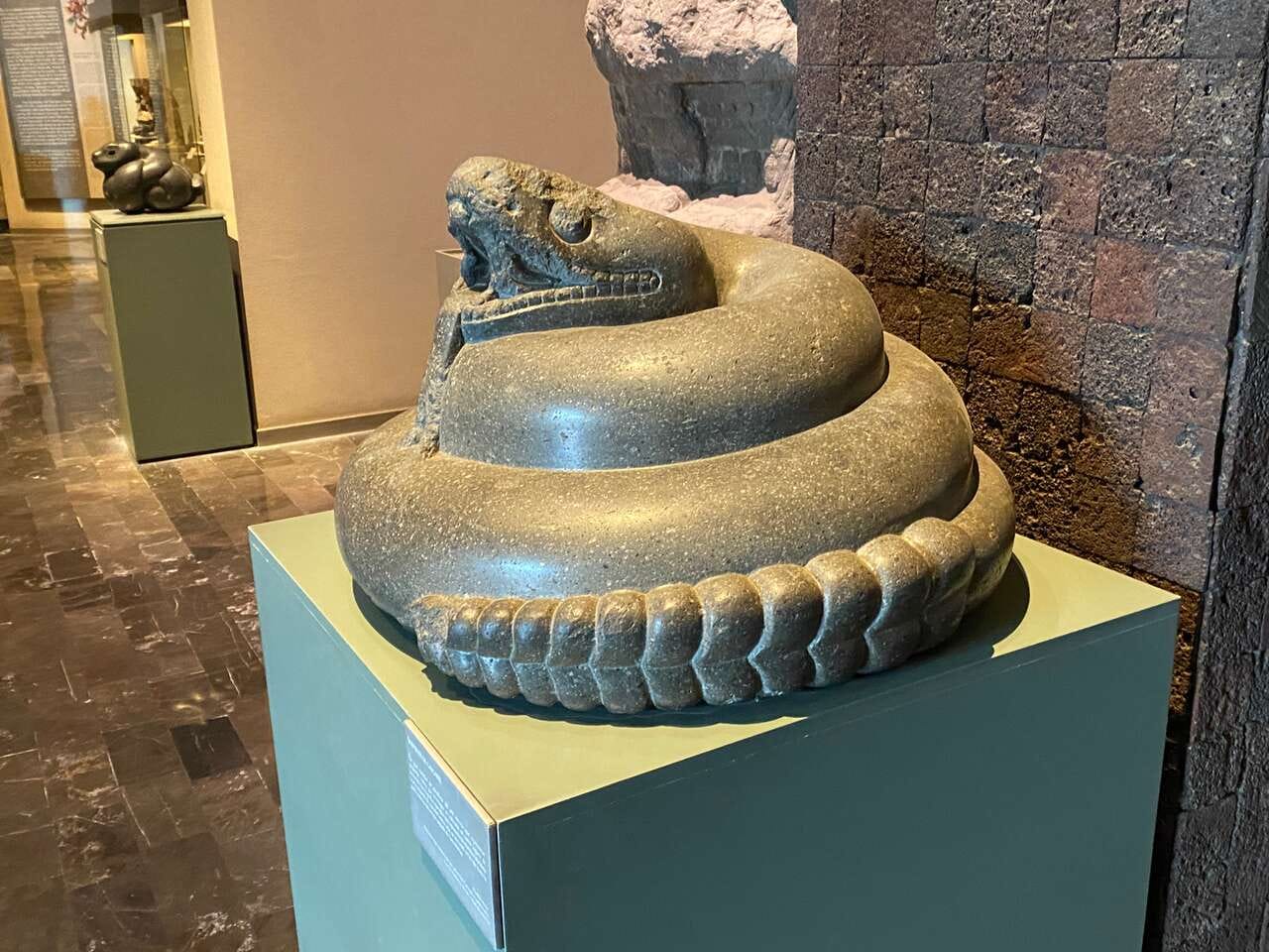 Big Mexican snake curled up like a big ice cream cone | The Orthodox Snake Writing Agency
