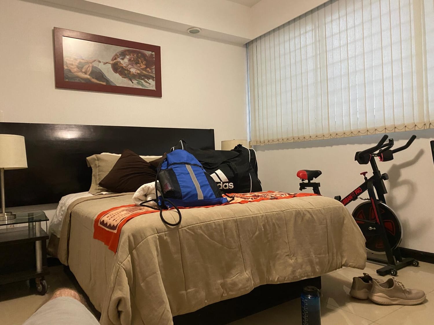 Dr. Boaz Goss settles down in Mexico City | Orthodox Snake Travelogue