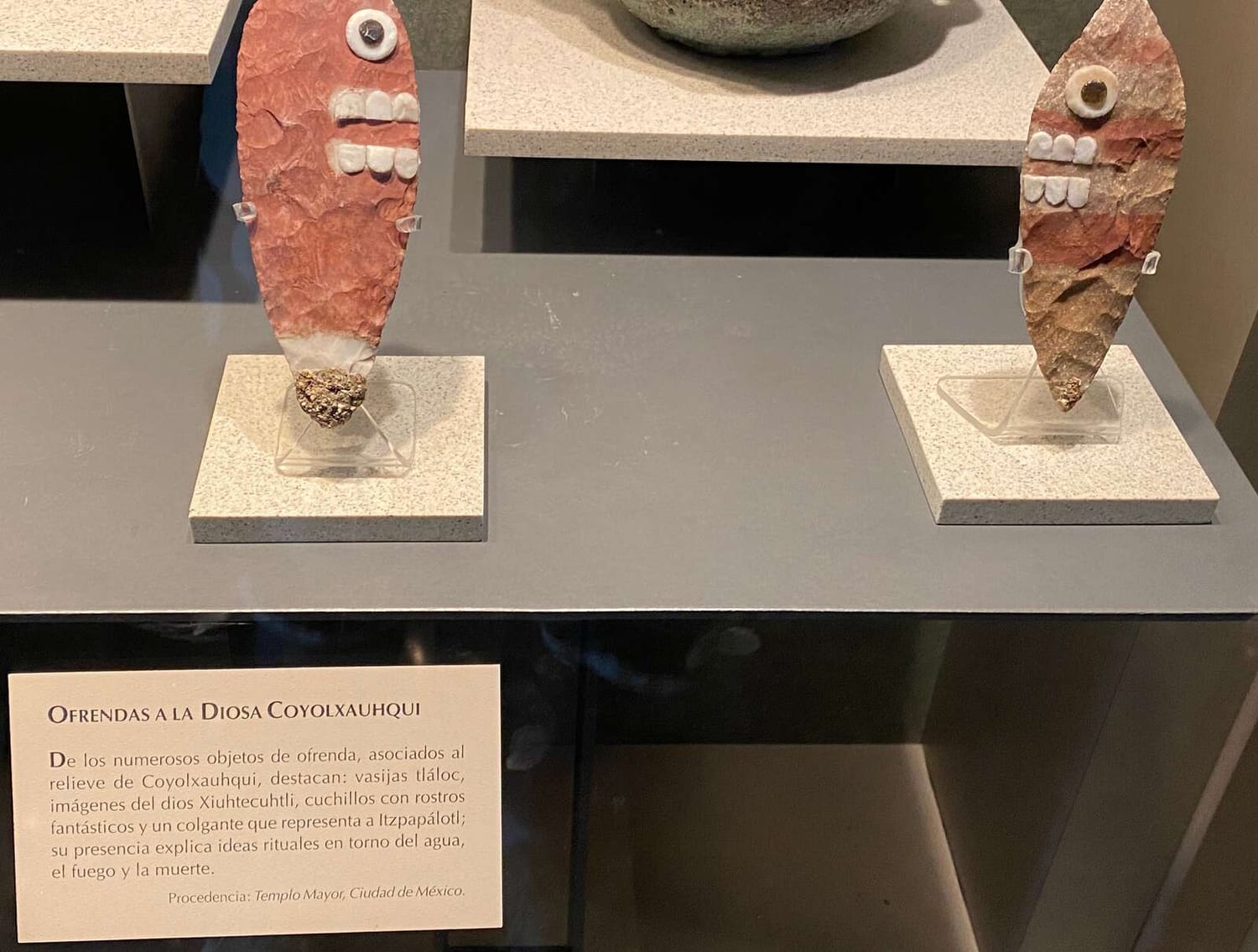 Dr. Boaz Goss greets googly eyed knives | The Orthodox Snake Writing Agency