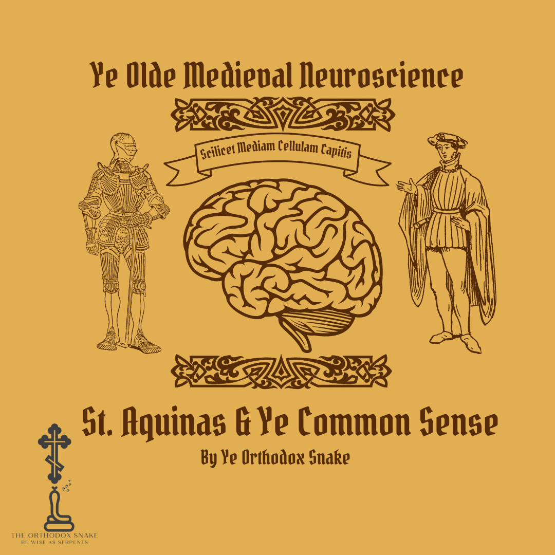 Custom Title Card, Modern Brain Anatomy with Medieval Flair | The Orthodox Snake Writing Agency