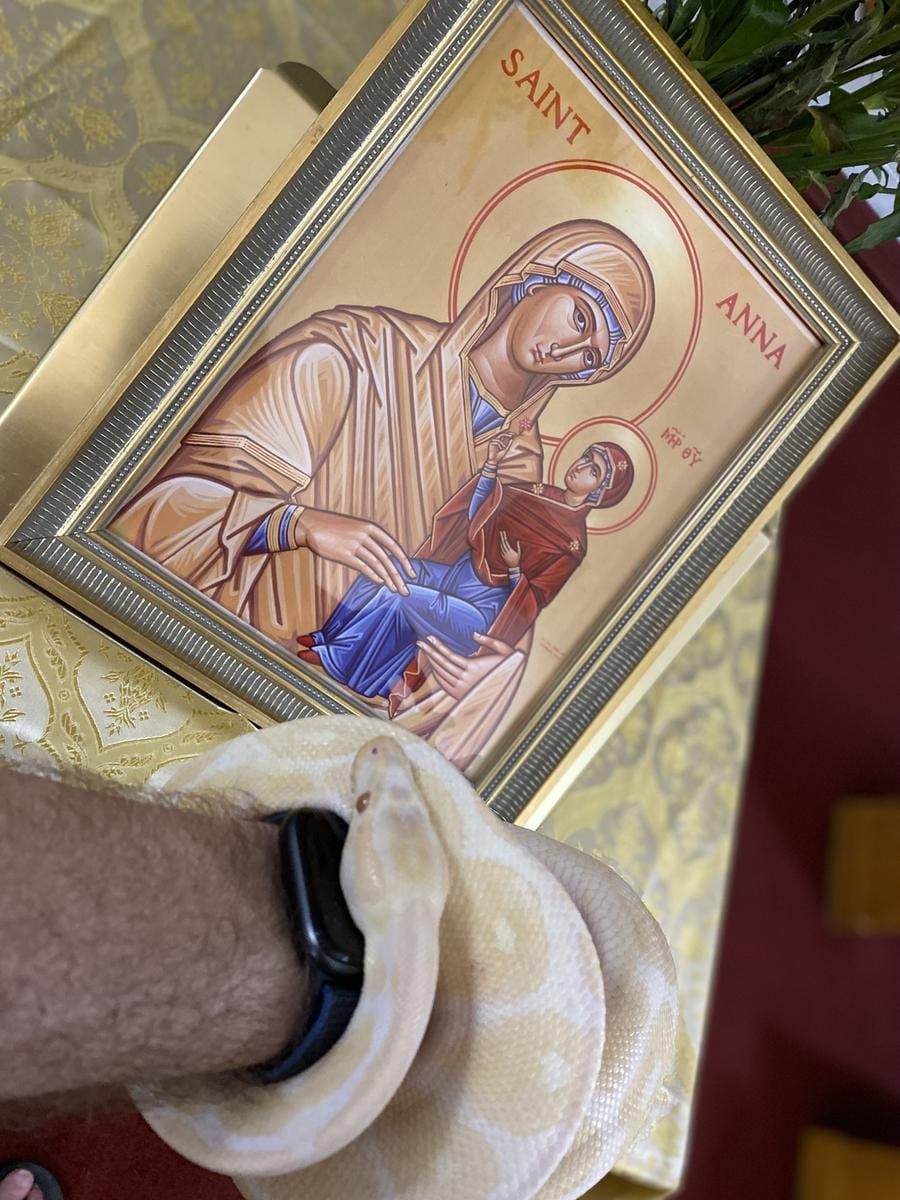 Sweet Potato honoring the Theotokos at his blessing ceremony