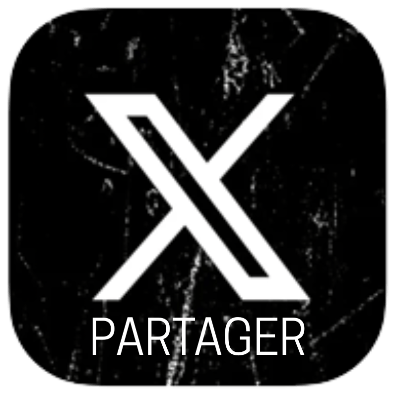 Partager sur Twitter