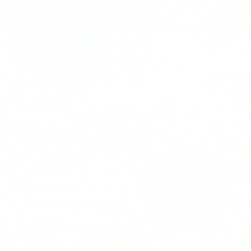 GIF Optimiser ça n'a pas de prix