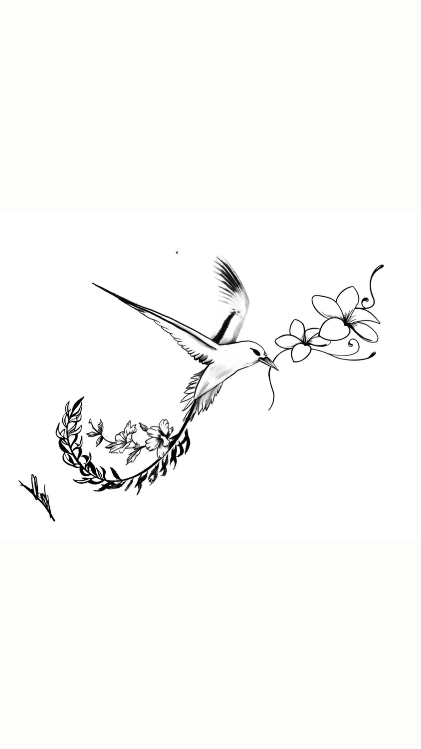 Croquis avant