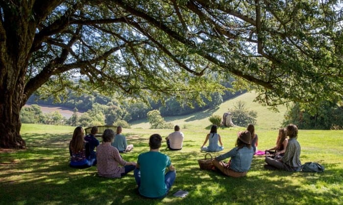 A group sitting together under a tree.