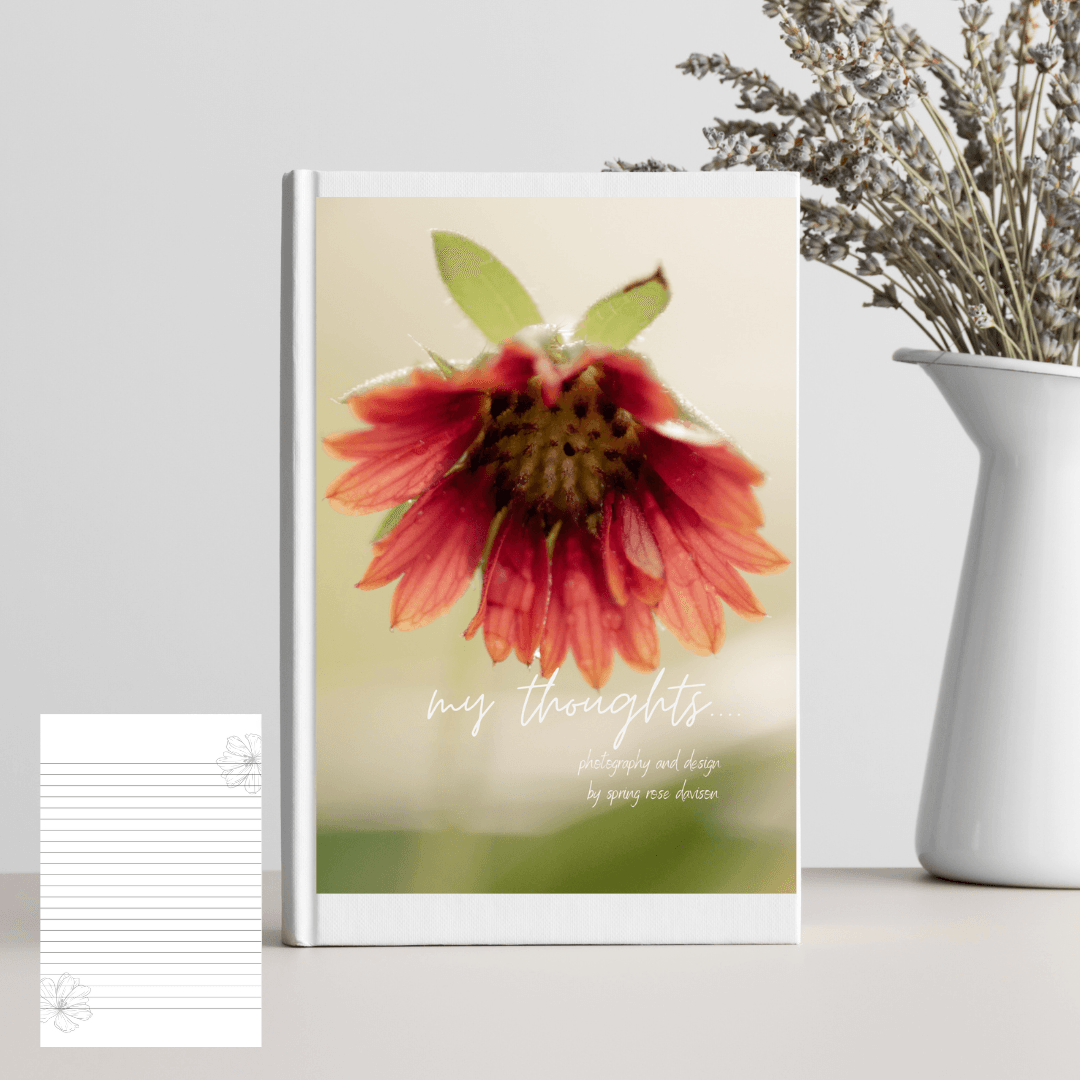 Blank Journal or Diary