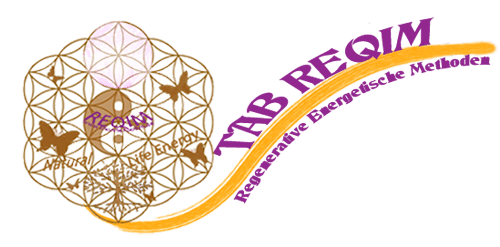 Logo REQIM ThorstenBohm.de