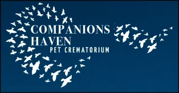 Companions Haven Ltd
