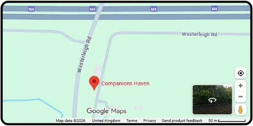Companions Haven Ltd Pet Cremation In Pucklechurch, Bristol