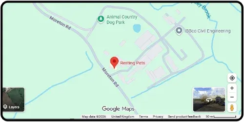 Map showing Resting Pets in Ongar CM5 0EY Essex