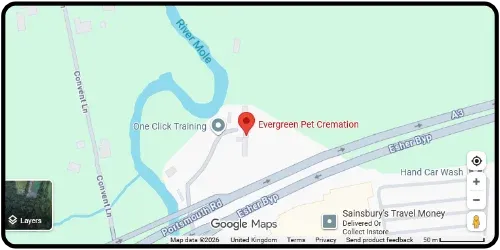 Map showing Evergreen Pet Cremation in Cobham KT11 1HW Surrey