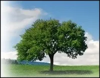 Sleepy Meadow Pet Cemetery and Crematorium Pet Cremation In Sandbach, Cheshire