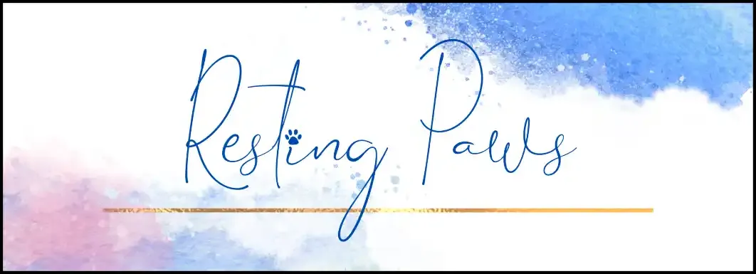 Resting Paws Pet Cremation in Stocksfield, Northumberland