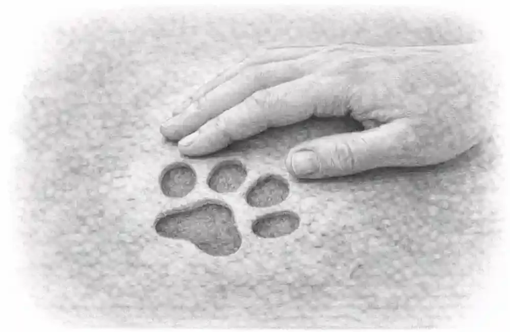 picture of a hand touching a paw imprint